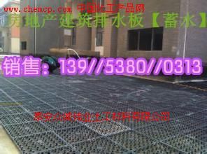 株洲綠化排水板廠家 優質產品，便捷貨到付款服務